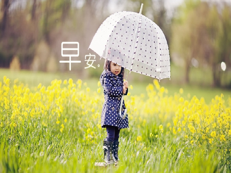 <strong>试管生化组检查（美国cdc查试管）</strong>